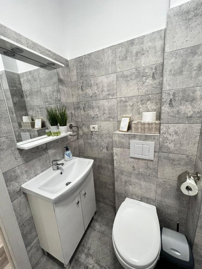 Cozy Deluxe In Centre Of Historical Apartment Suceava
