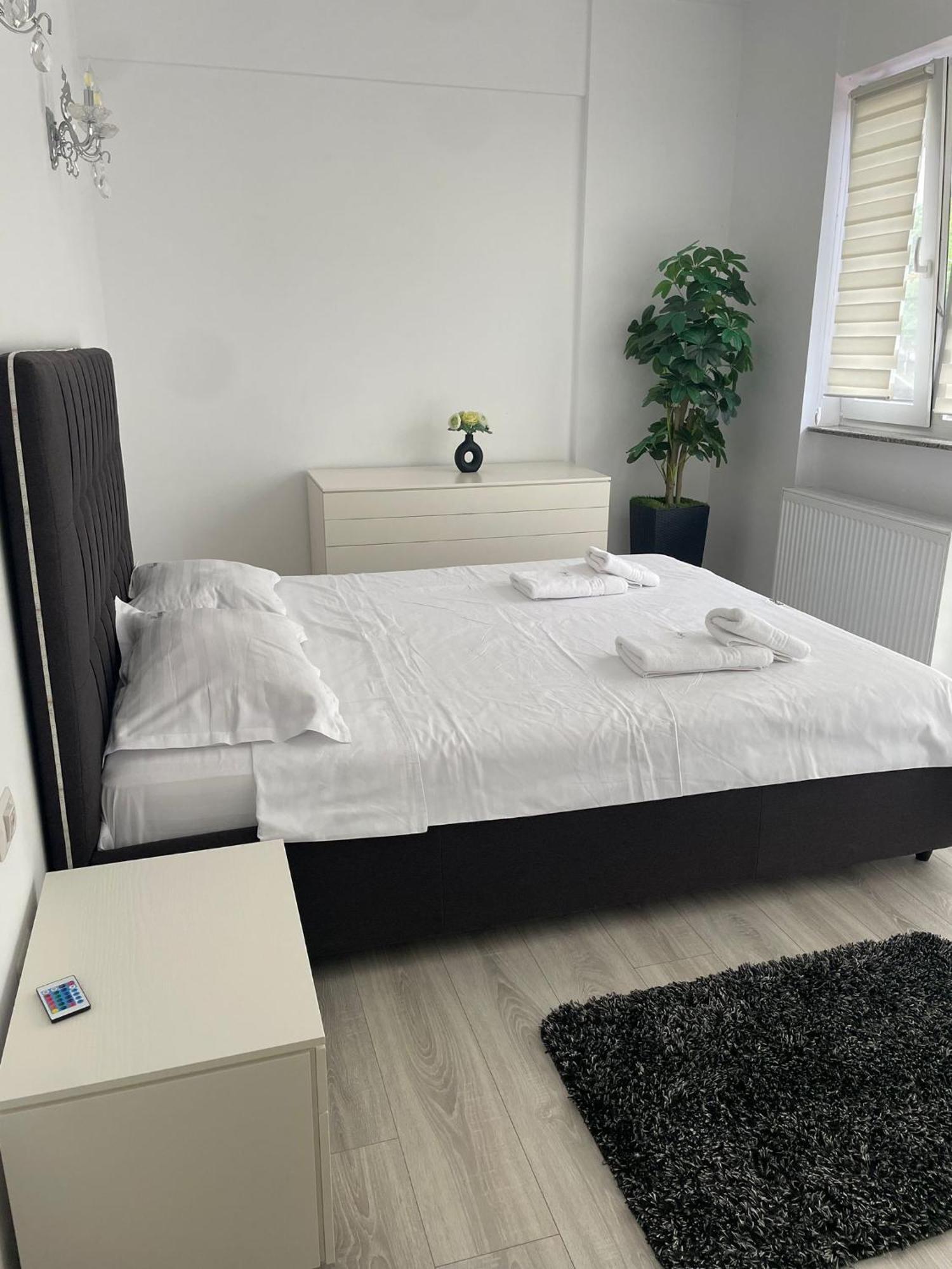 Cozy Deluxe In Centre Of Historical Suceava