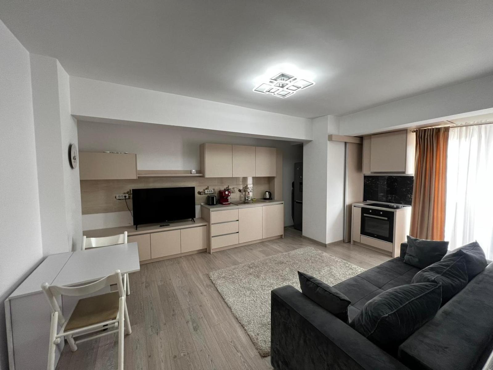 Cozy Deluxe In Centre Of Historical Apartment Suceava