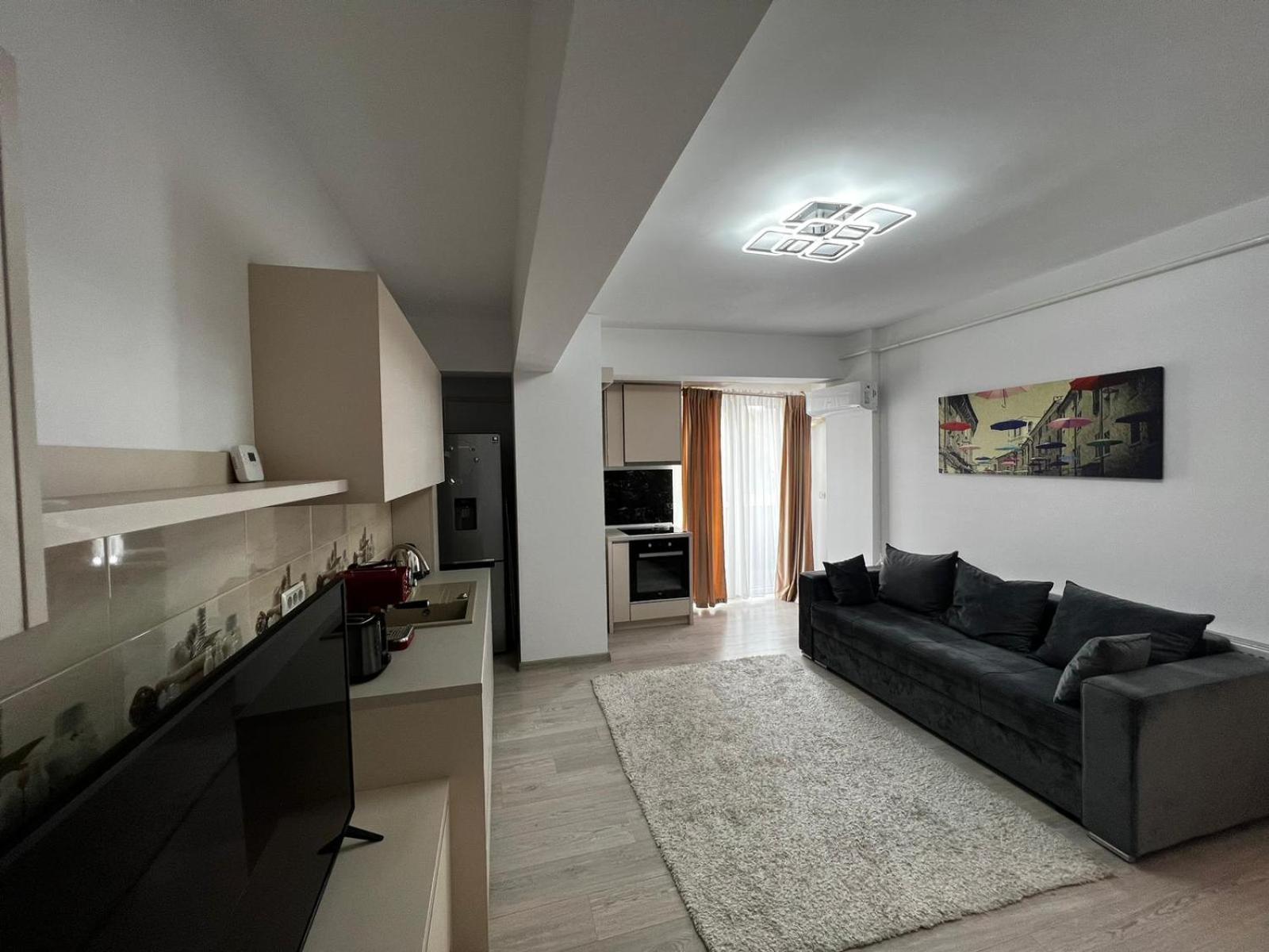 Apartment Cozy Deluxe In Centre Of Historical Suceava